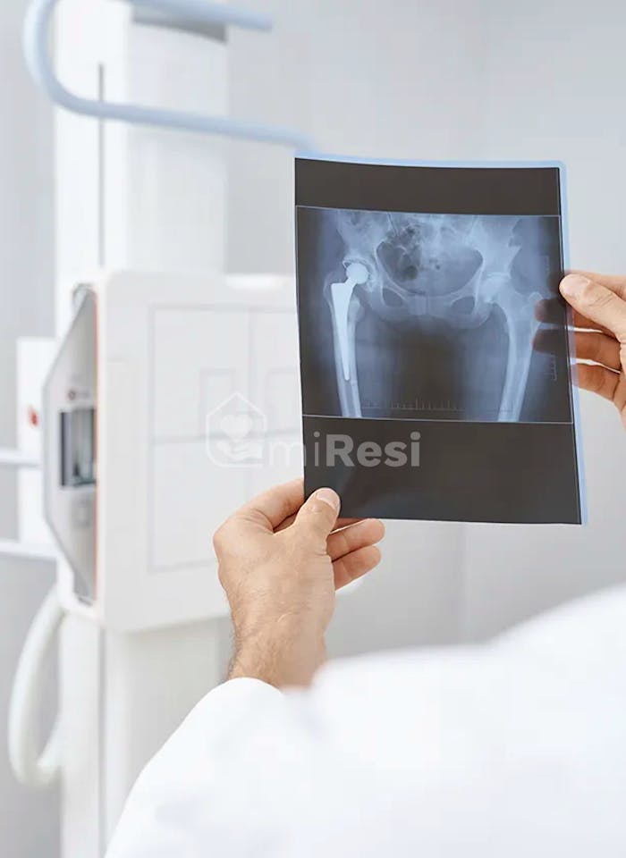 Azahar Del Mediterráneo 6