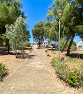 Residencia El Pinar Almodóvar del Campo en miResi