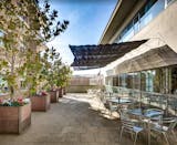 Hestia Health Stauros