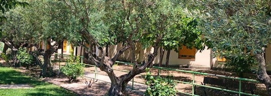 Centro de Día Hontanar del Jarama