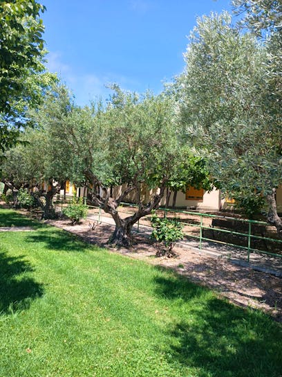 Centro de Día Hontanar del Jarama