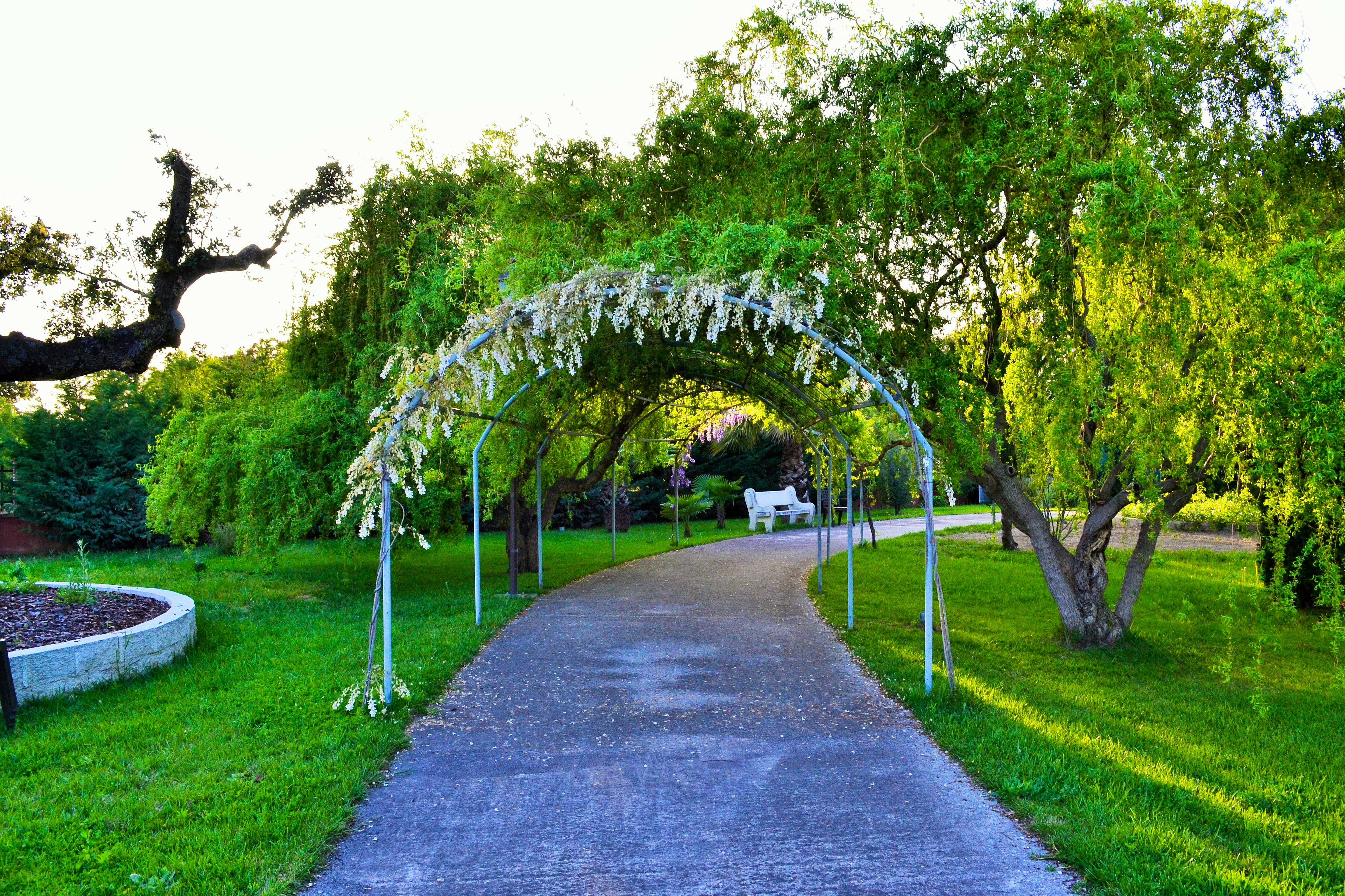 Hotel Residencia El Encinar #4