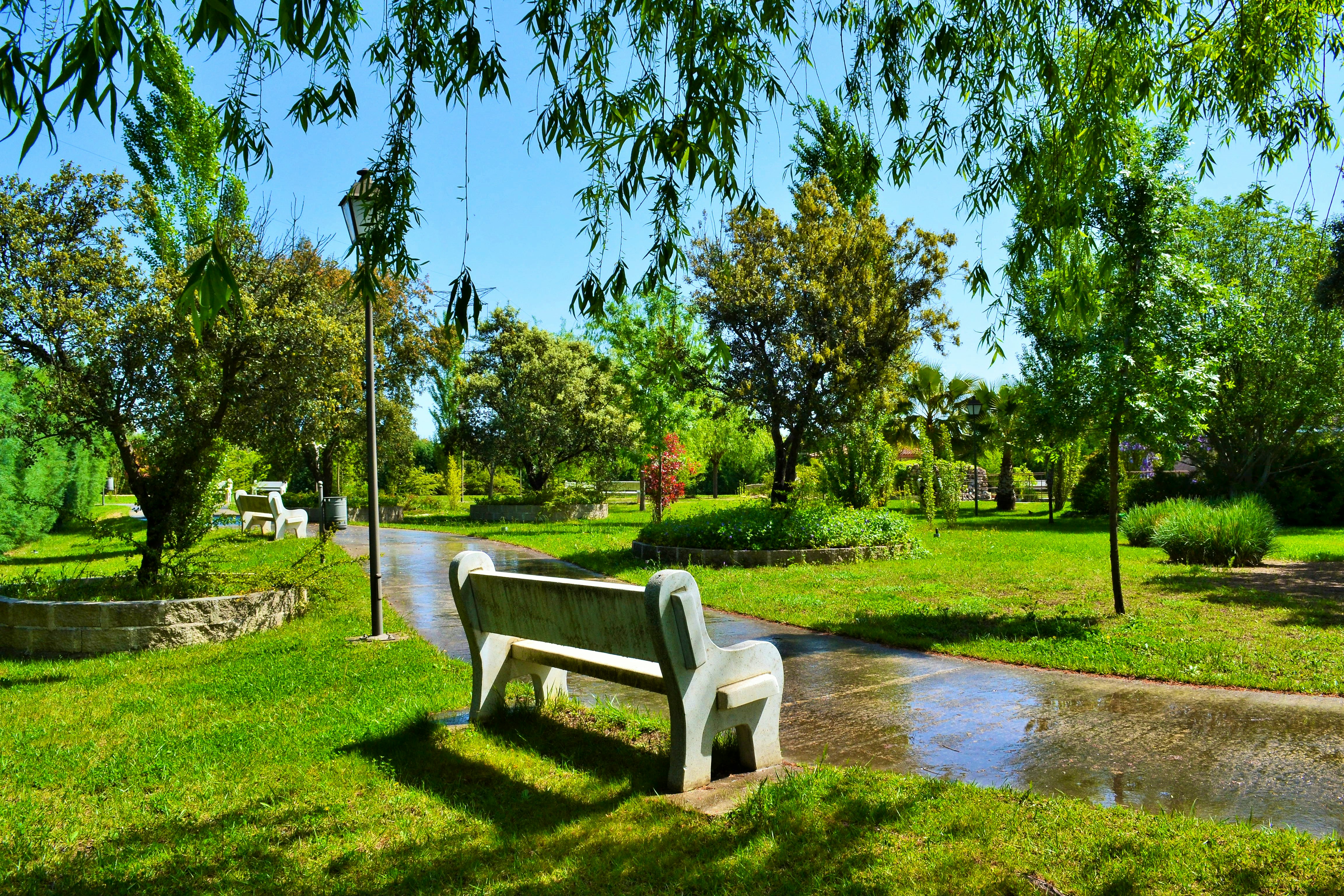 Hotel Residencia El Encinar #2