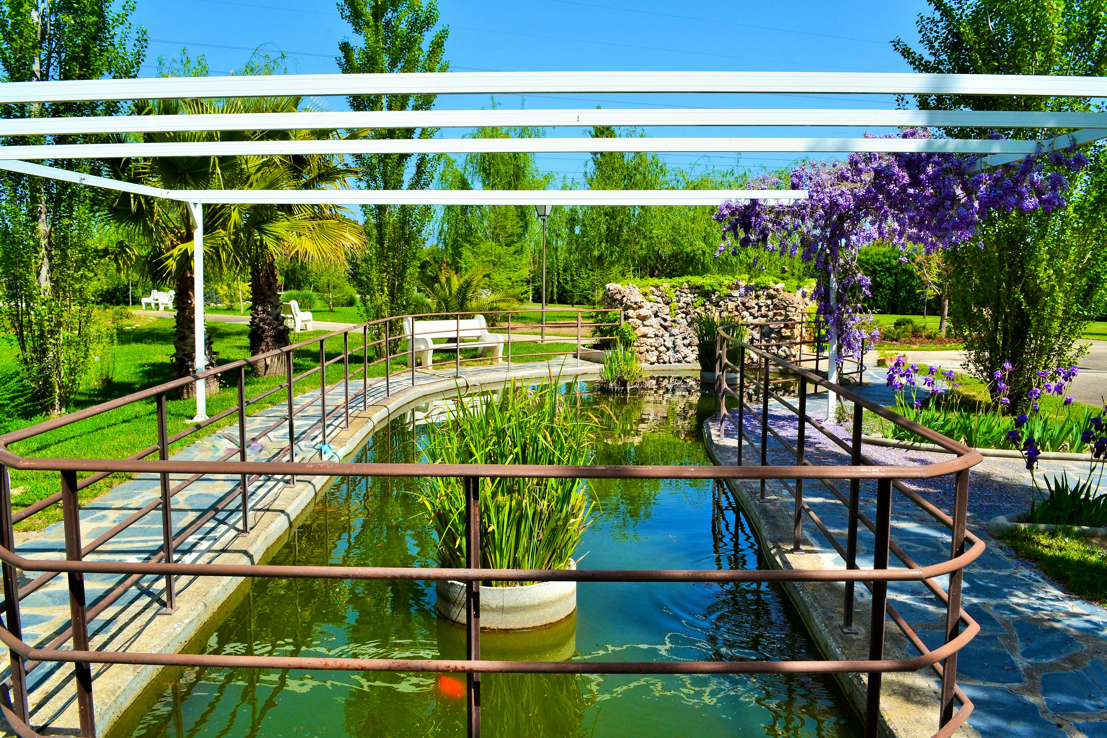 Hotel Residencia El Encinar #3