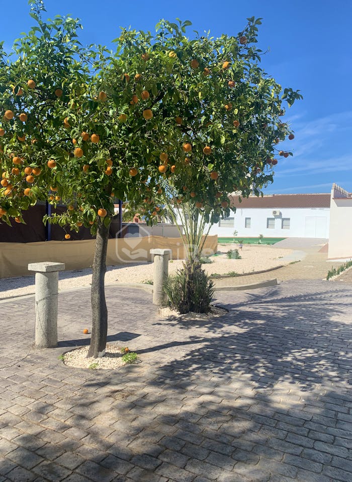 Centro de día Mayores Deussolus 6