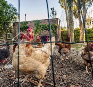 Residencia de Mayores Los Rosales #4