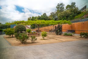 Centro De Día Sol I Natura