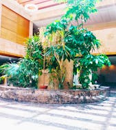 Residencia Colisée La Vega en miResi