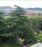 Residencia Colisée Sant Jordi en miResi