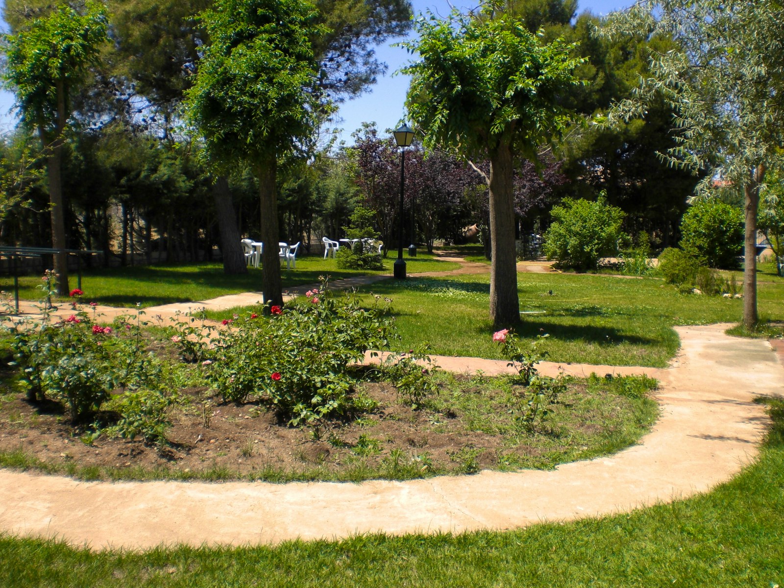 Centro Chinchón (El Llano) #3