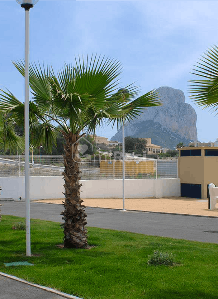 Colisee Calpe 2