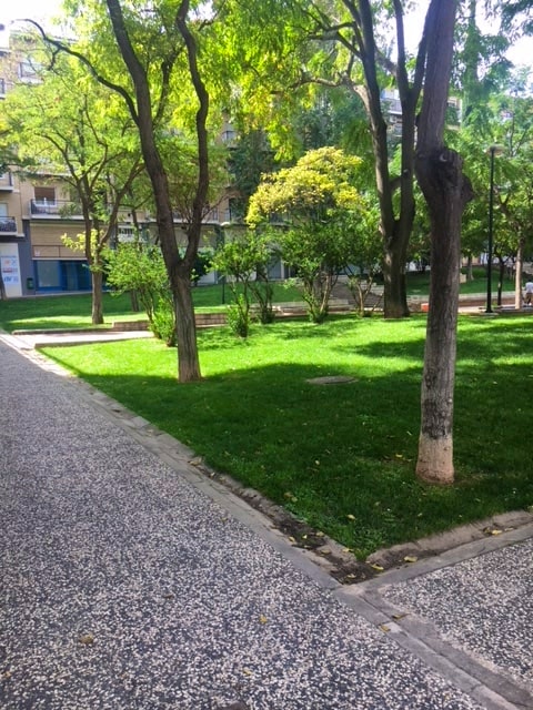 Residencia Las Nieves #4