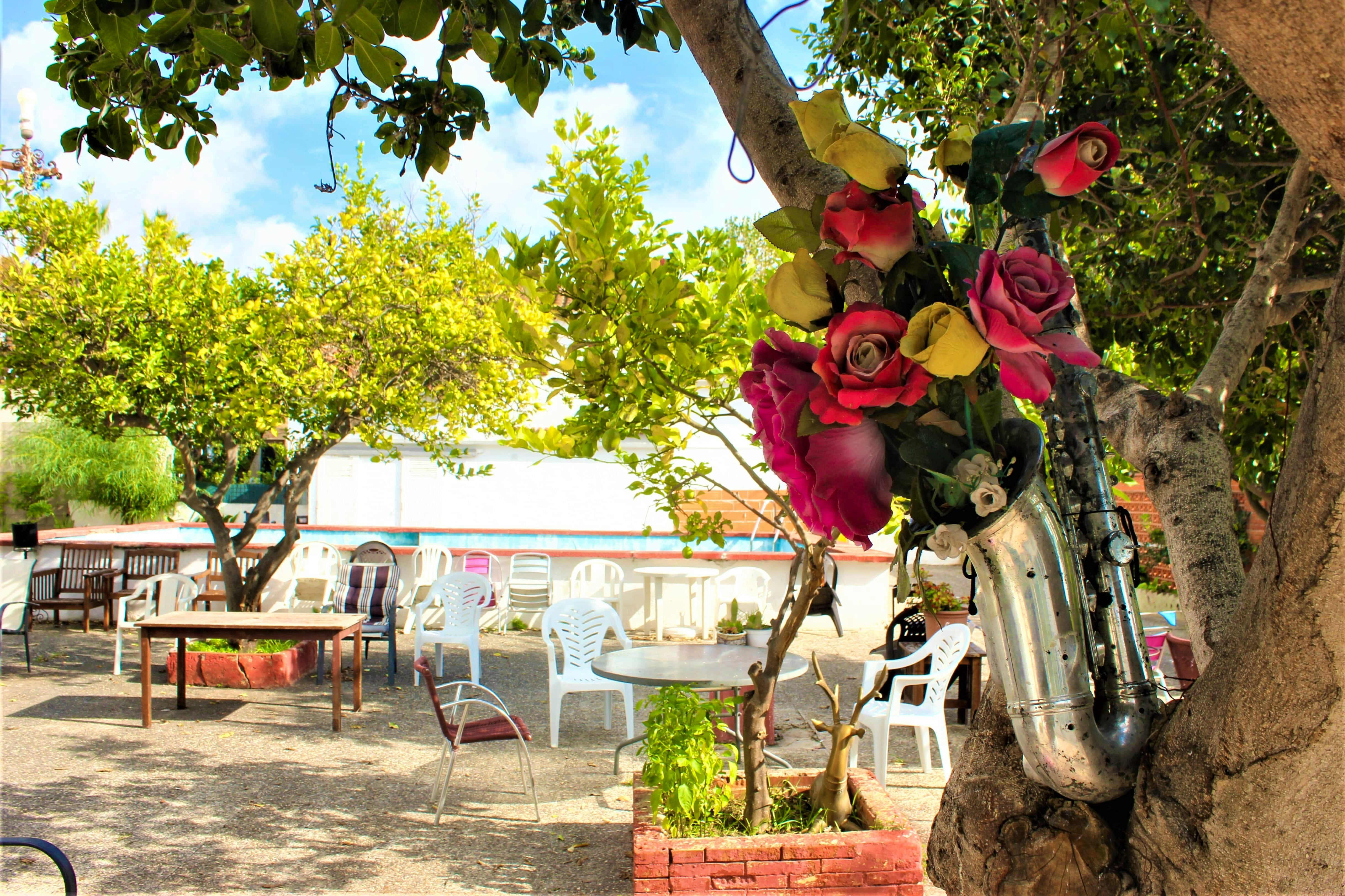 Residencia Lourdes #2