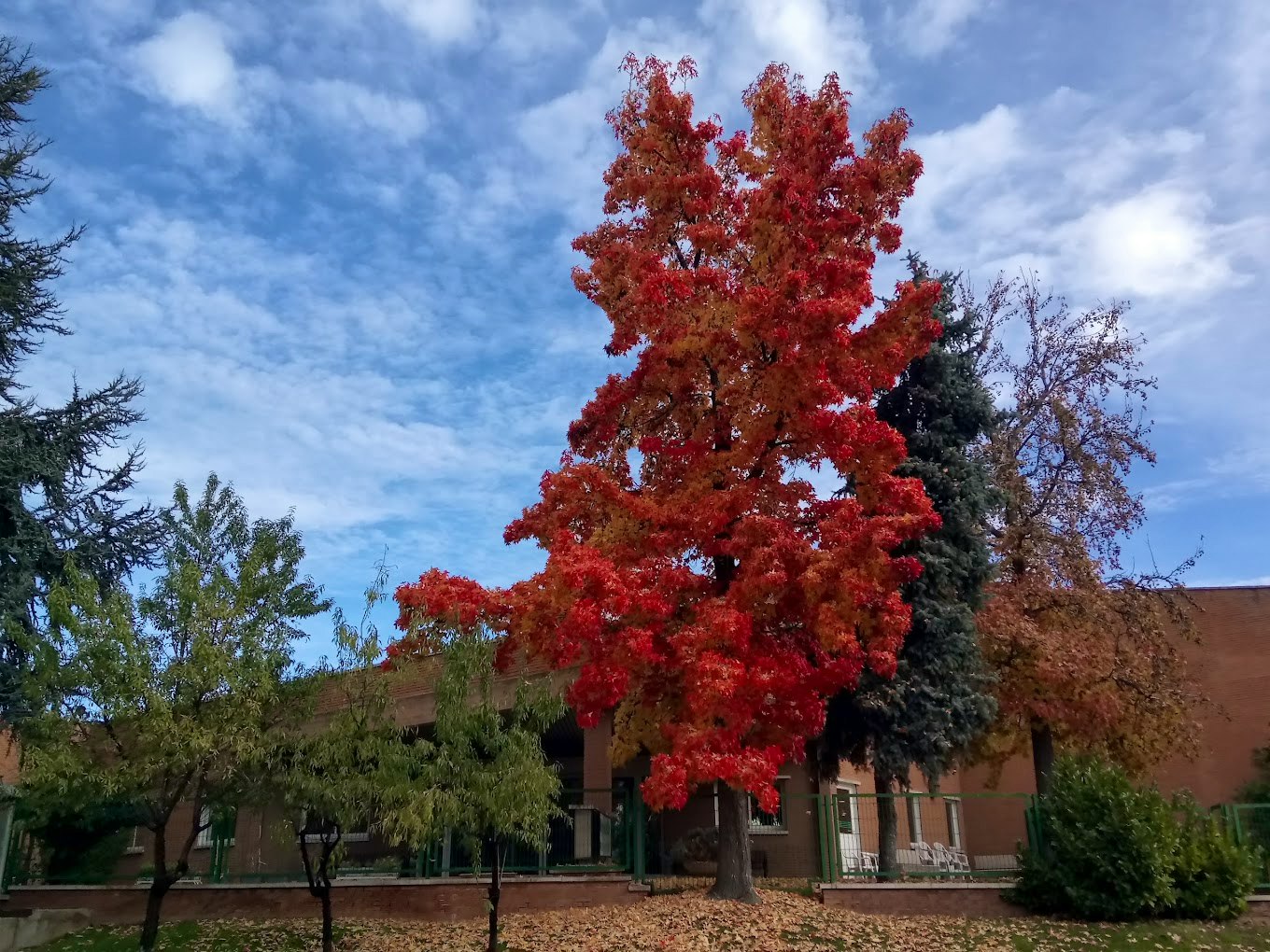 Residencia Virgen Del Pilar Boadilla del Monte #2