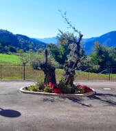 Residencia Santa Gregoria en miResi