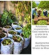 Complejo de Apartamentos Mirador de Miranda en miResi