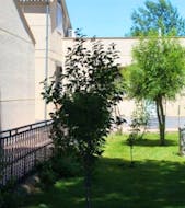 Centro Para Mayores Virgen De Duero en miResi