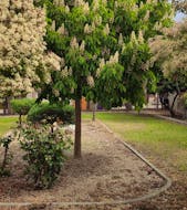 Residencia Doña Blasa en miResi