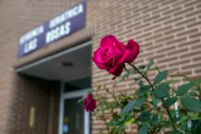 Residencia Las Rosas